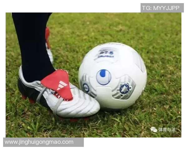 体育法律案例回顾